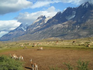 Wissenswertes über Chile