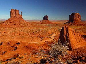 Work and Travel USA