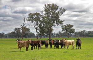 Arbeiten in Australien