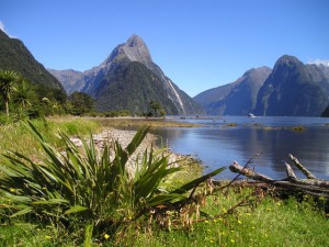 Reiseversicherung für Neuseeland